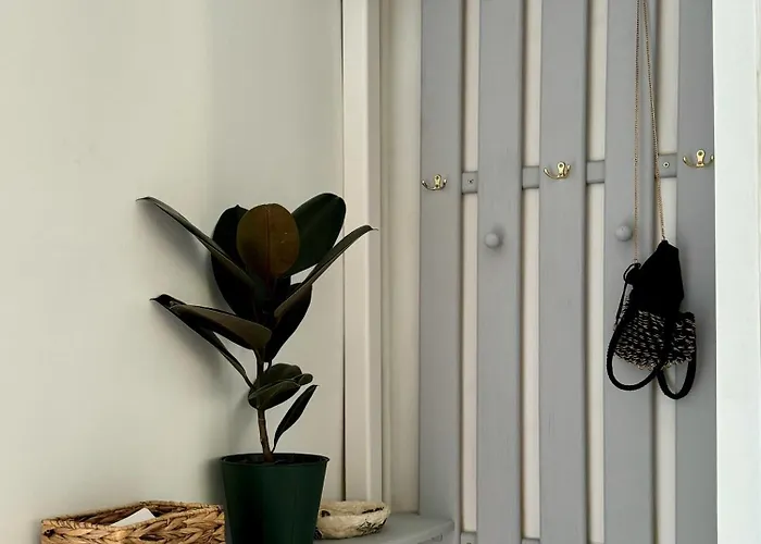 Modern Comfort In The Heart Of Old Town Klaipeda