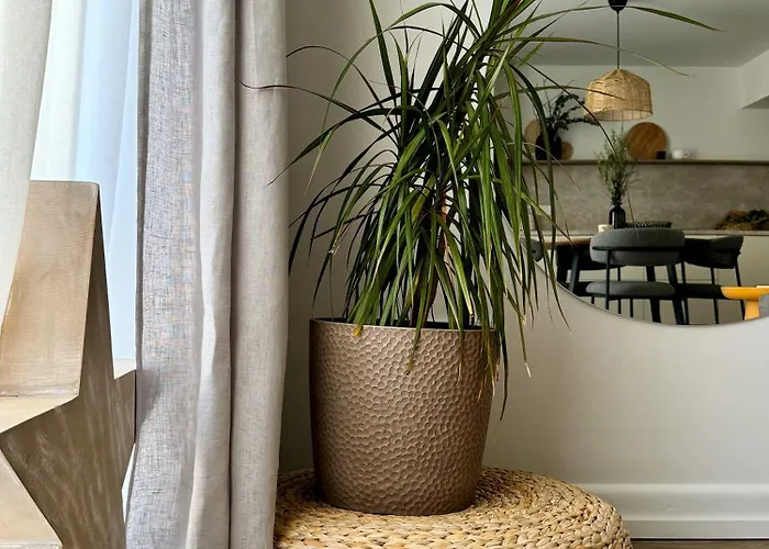 Modern Comfort In The Heart Of Old Town